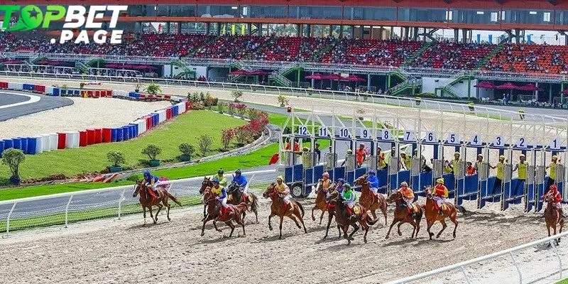 Áp dụng chiến lược đúng đắn, bạn sẽ gia tăng cơ hội thắng khi tham gia cược đua ngựa tại Topbet