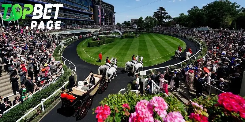 Giới thiệu tổng quan về đua ngựa Royal Ascot