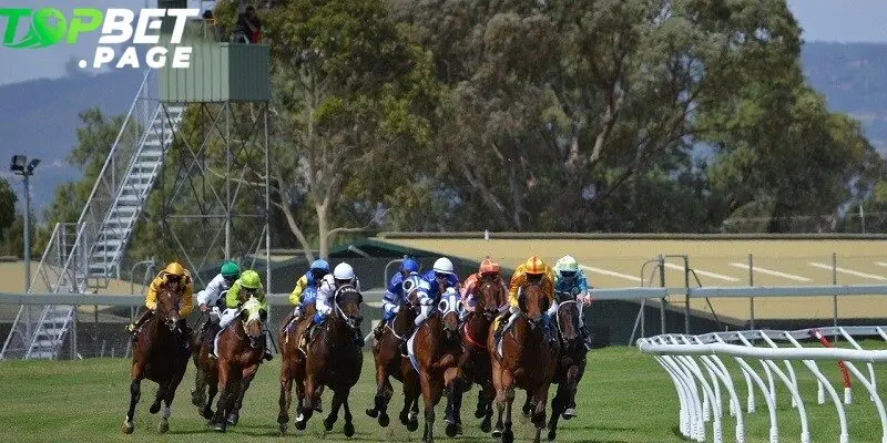 Muốn chiến thắng trong Đua ngựa Belmont, người chơi cần chuẩn bị không chỉ vốn cược mà còn chiến lược rõ ràng